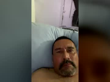 Haukjeffrey2