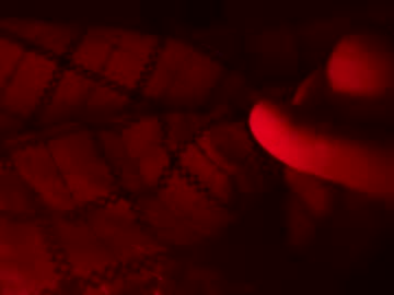 Funguy799 Chaturbate profile image