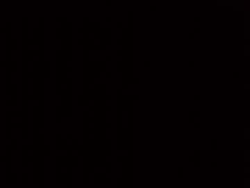 Axlnova