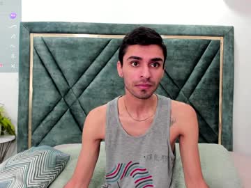 Stefansandler01 Chaturbate stream image from December 17, 2024