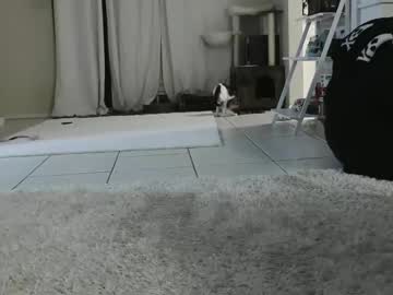 Wrenleigh Chaturbate stream image from December 17, 2024