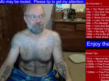 Hairydaddybear69 Chaturbate stream image from December 17, 2024