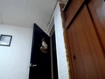 Maturehornyxxxx Chaturbate stream image from December 18, 2024