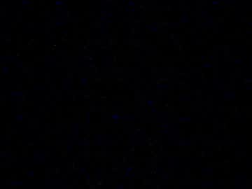 Cookieforme Chaturbate stream image from December 18, 2024