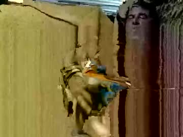 Knock2wice1975 Chaturbate stream image from December 18, 2024