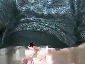 Mensenschuw stream image from December 18, 2024