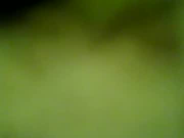Darrenrider Chaturbate stream image from December 18, 2024