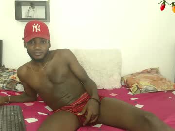 Blackmambafu Chaturbate stream image from December 19, 2024