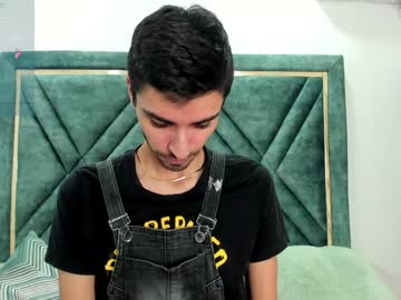 Stefansandler01 Chaturbate stream image from December 19, 2024