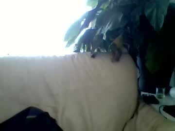 Meloveu3301 Chaturbate stream image from December 19, 2024