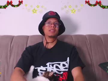 Willy_Browni Chaturbate stream image from December 19, 2024