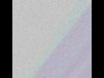 Zay_Reef Chaturbate stream image from December 19, 2024