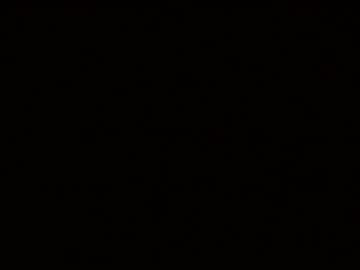 Rockinger73 Chaturbate stream image from December 19, 2024