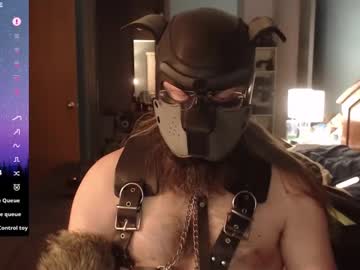Kinkywolf87 Chaturbate stream image from December 20, 2024