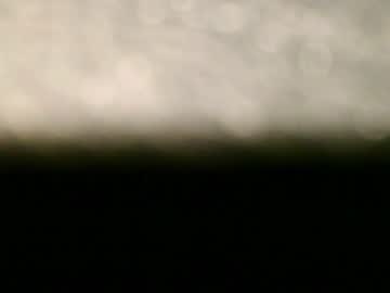 Steffan8664 Chaturbate stream image from December 20, 2024