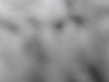 Yessimua Chaturbate stream image from December 20, 2024