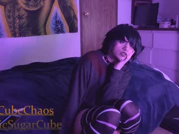 Chaoticsugarcube Chaturbate stream image from December 21, 2024
