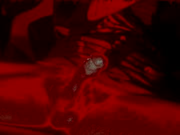Feelinghardup Chaturbate stream image from December 21, 2024