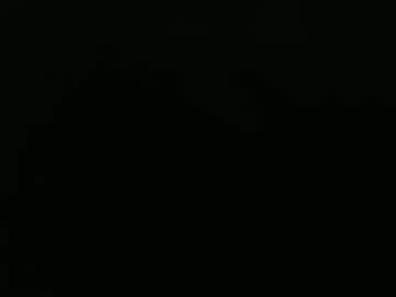 Forestnymphpdx Chaturbate stream image from December 21, 2024