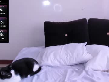 Sumeragi_Cat Chaturbate stream image from December 21, 2024