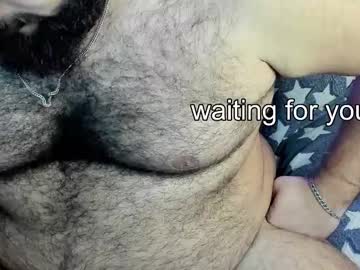 _Alan_Bear_ Chaturbate stream image from December 21, 2024