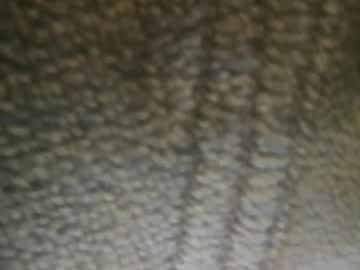 Like2lick94 Chaturbate stream image from December 21, 2024