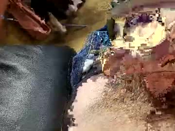 Jimbobuk23 Chaturbate stream image from December 21, 2024