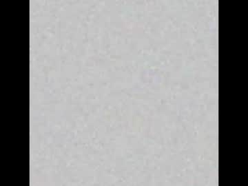 Tranny_Sarah Chaturbate stream image from December 21, 2024