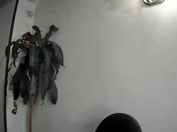 Evacollins12 Chaturbate stream image from December 22, 2024