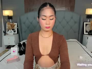 Ayesha_Palvin Chaturbate stream image from December 22, 2024