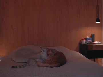 Onelittlemermaid Chaturbate stream image from December 22, 2024