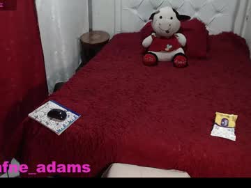 Dafneeadamss Chaturbate stream image from December 23, 2024