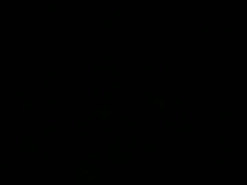 Bergeon Chaturbate stream image from December 23, 2024