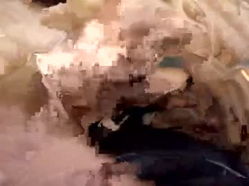 Dtae274 Chaturbate stream image from December 23, 2024