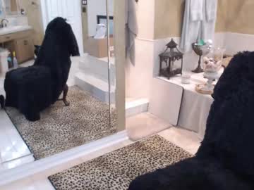 Trophywifey Chaturbate stream image from December 24, 2024