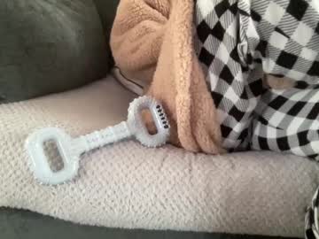 Shyboy0533 Chaturbate stream image from December 24, 2024