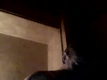 Gonzalobilbaogon Chaturbate stream image from December 24, 2024