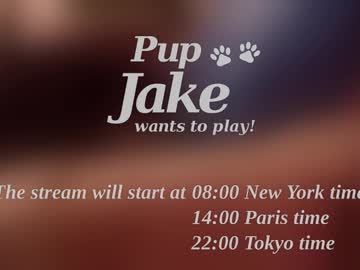 Pup_Jake Chaturbate stream image from December 25, 2024