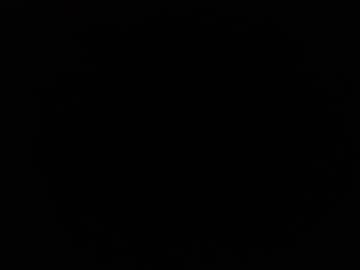 Ninjadance Chaturbate stream image from December 25, 2024