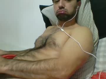 Ale_Padawan Chaturbate stream image from December 25, 2024