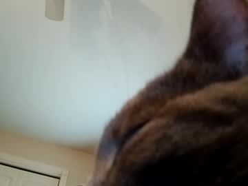 2_Of_Us2024 Chaturbate stream image from December 26, 2024