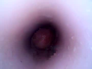 Hardhammerboy Chaturbate stream image from December 26, 2024