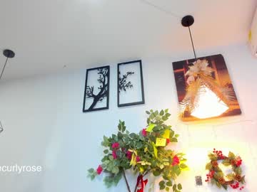 Curlyrose_ Chaturbate stream image from December 26, 2024