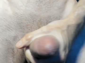 Dvss_908 Chaturbate stream image from December 26, 2024