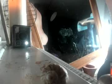Handncocknocum Chaturbate stream image from December 27, 2024