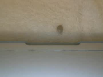 Bigdickandballs4 Chaturbate stream image from December 27, 2024