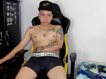 Skaterboycat stream image from December 28, 2024