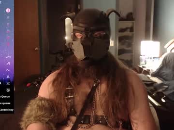 Kinkywolf87 Chaturbate stream image from December 28, 2024