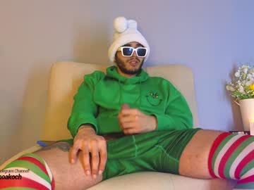 Noa_Koch Chaturbate stream image from December 28, 2024