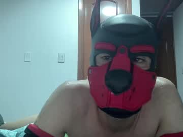 Elperroylagata Chaturbate stream image from December 29, 2024